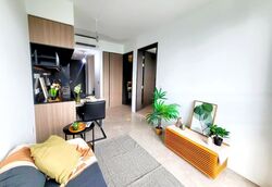 Irwell Hill Residences (D9), Apartment #471678911